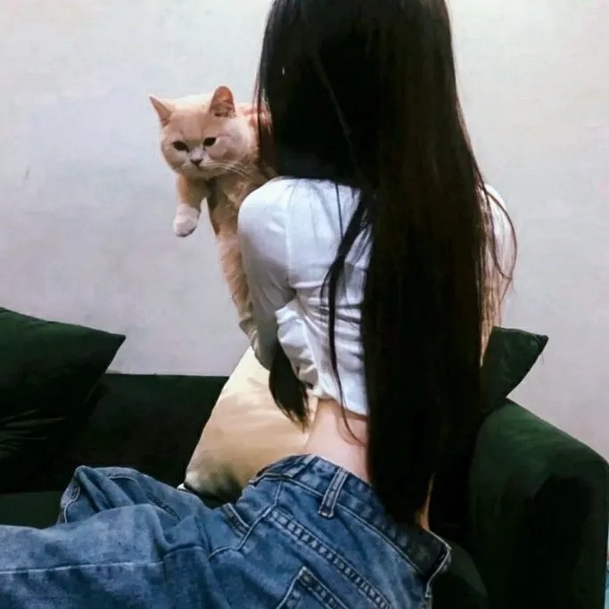 犹太长老的灵猫